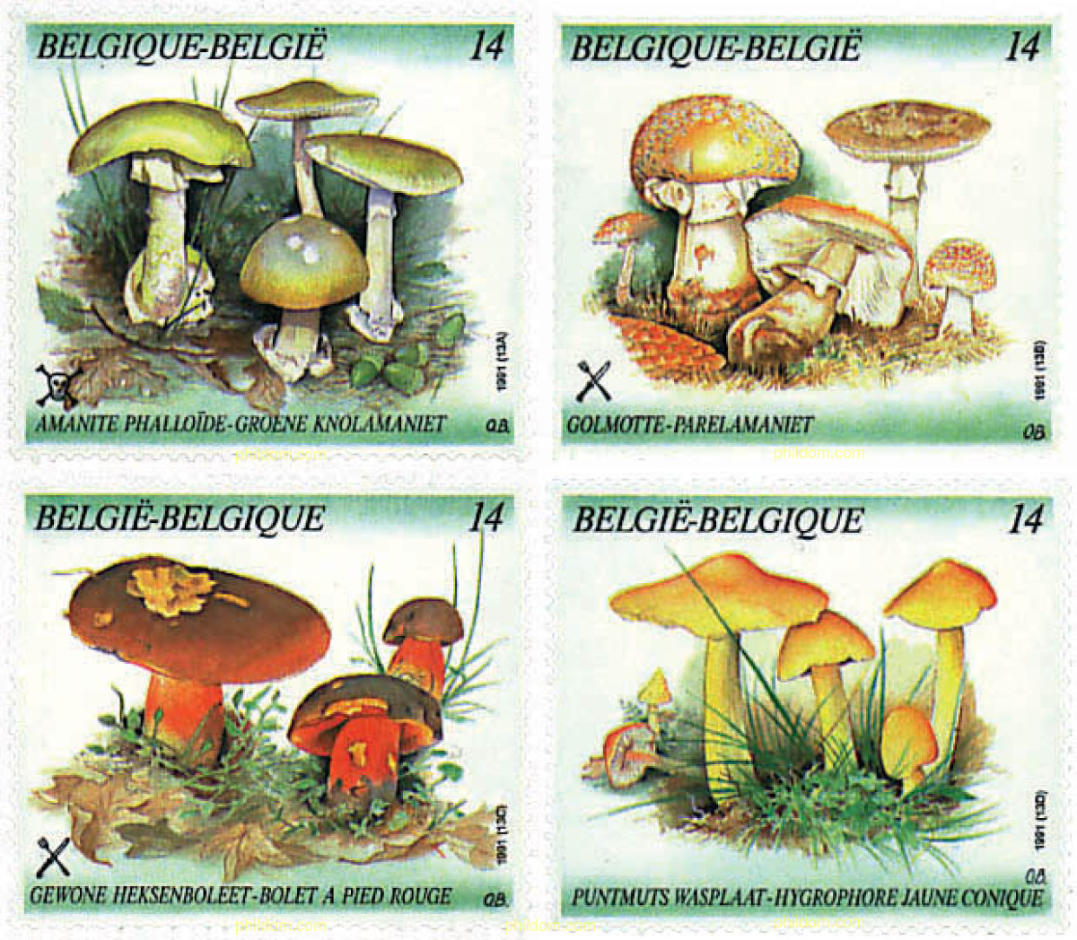 BELGICA – SETAS 1991