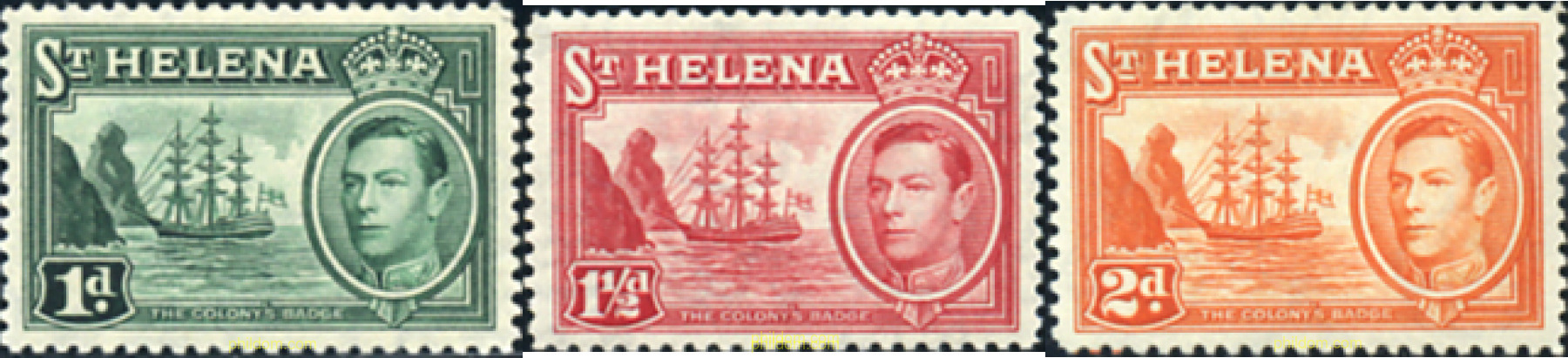 SELLO 368516.jpg