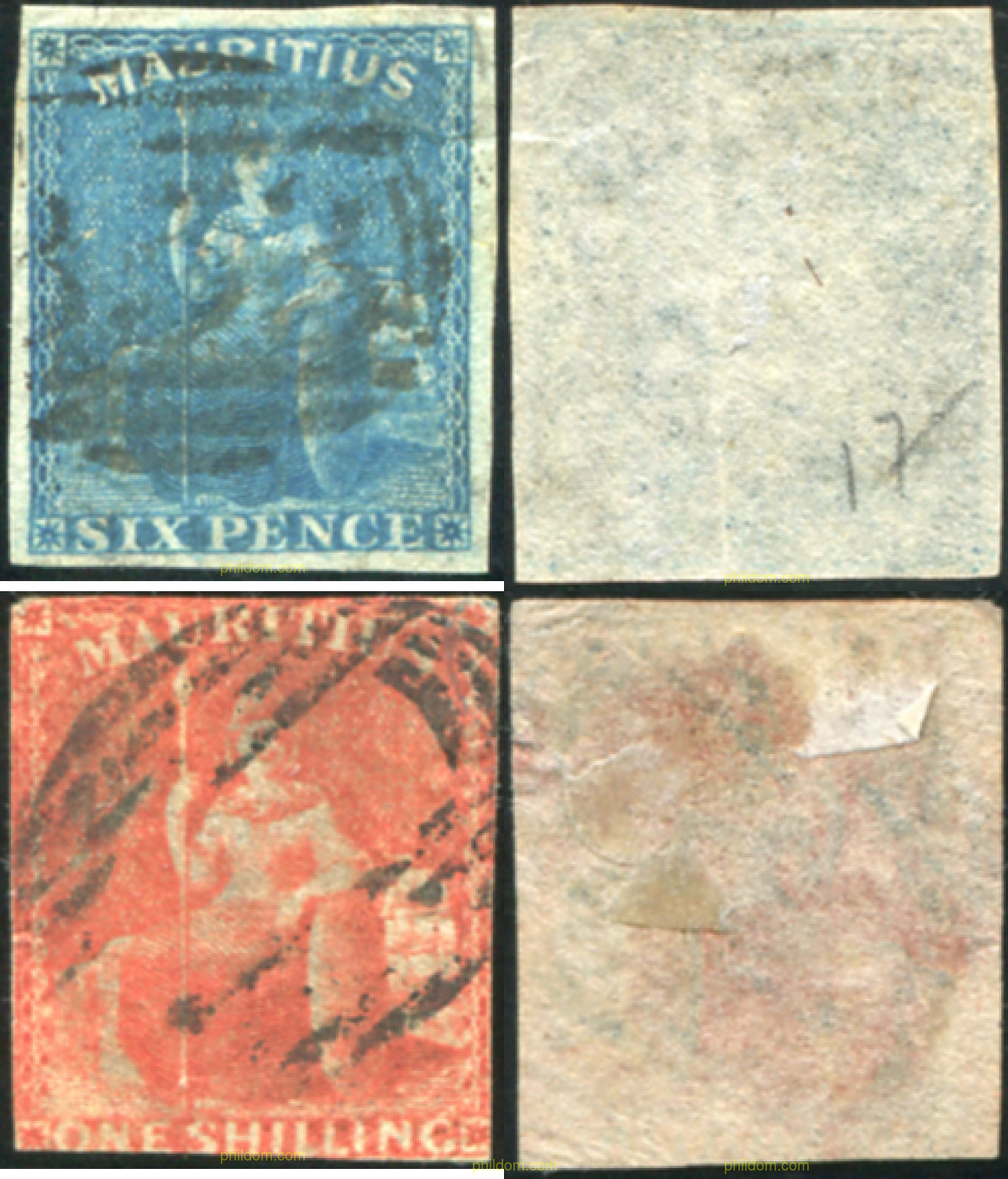 SELLO 765842.jpg